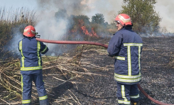 За добу, 27 серпня, на Вінниччині сталося 13 пожеж в екосистемах