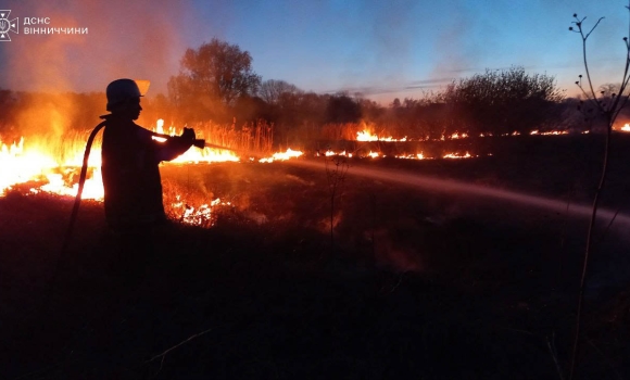 За добу на Вінниччині загасили 23 пожежі в екосистемах