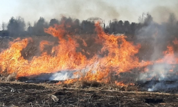 За добу на Вінниччині згоріло понад 3,5 га сухої рослинності