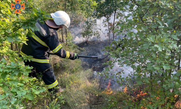 За добу у Вінницькій області сталося вісім пожеж в екосистемах