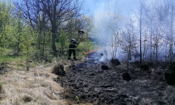 За минулу добу рятувальники Вінниччини 14 разів виїжджали на гасіння пожеж