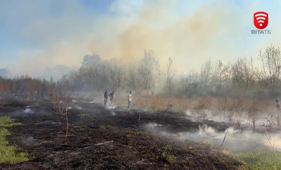 За останні кілька діб рятувальники Вінниччини ліквідували 18 пожеж у екосистемах