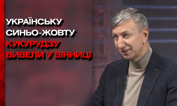 Синьо-жовта кукурудза набирає популярності серед фермерів України