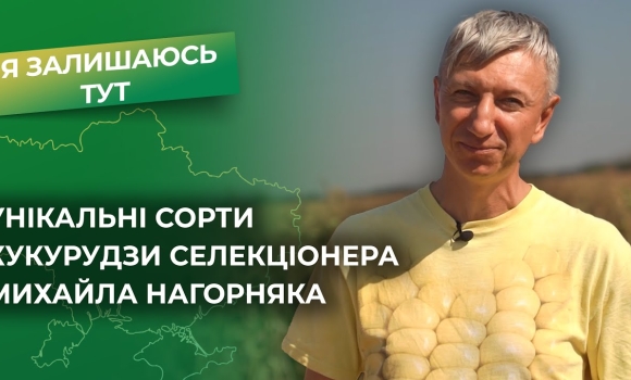 Embedded thumbnail for Синьо-жовта кукурудза Михайла Нагорняка: аграрні інновації та виклики війни!