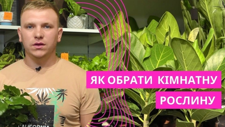 Embedded thumbnail for Обираємо кімнатні рослини разом із «Вінницьким експертом»