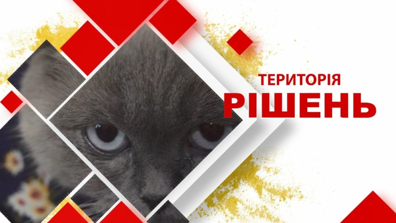 Embedded thumbnail for Територія рішень. Догляд за тваринами під час війни