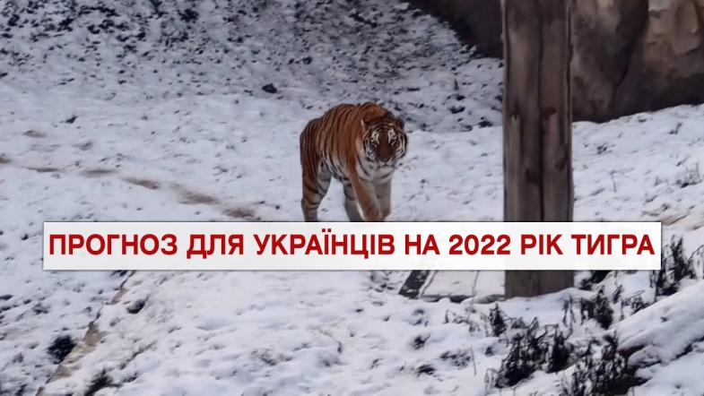 Embedded thumbnail for Важливо 2022-01-04 18:00