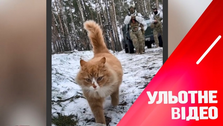 Embedded thumbnail for Коти на передовій і як працює магія світла: чергова порція &quot;Ульотного відео&quot;