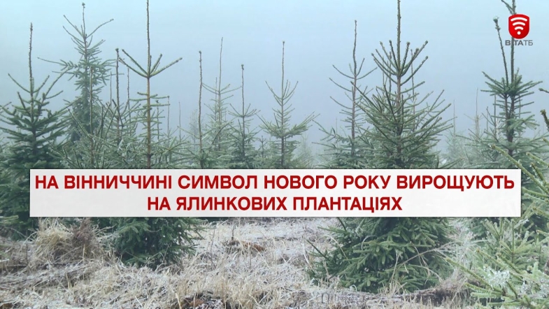 Embedded thumbnail for Важливо 2021-12-10 18:00