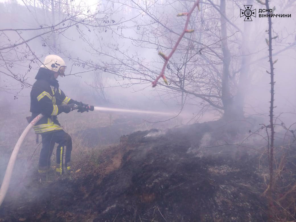 На Вінниччині вигоріло понад три гектари землі через паліїв трави