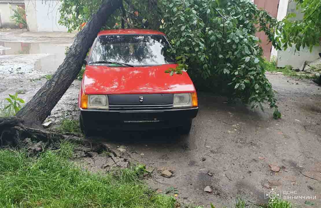 У Крижополі вітер повалив дерево на легковий автомобіль