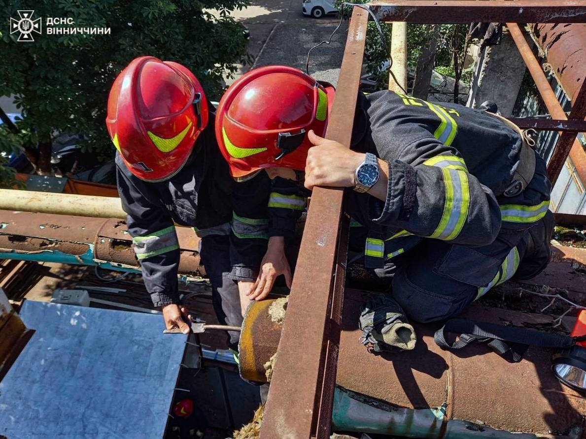 "Спецоперацію" з порятунку трійки новонароджених кошенят провели вінницькі рятувальники