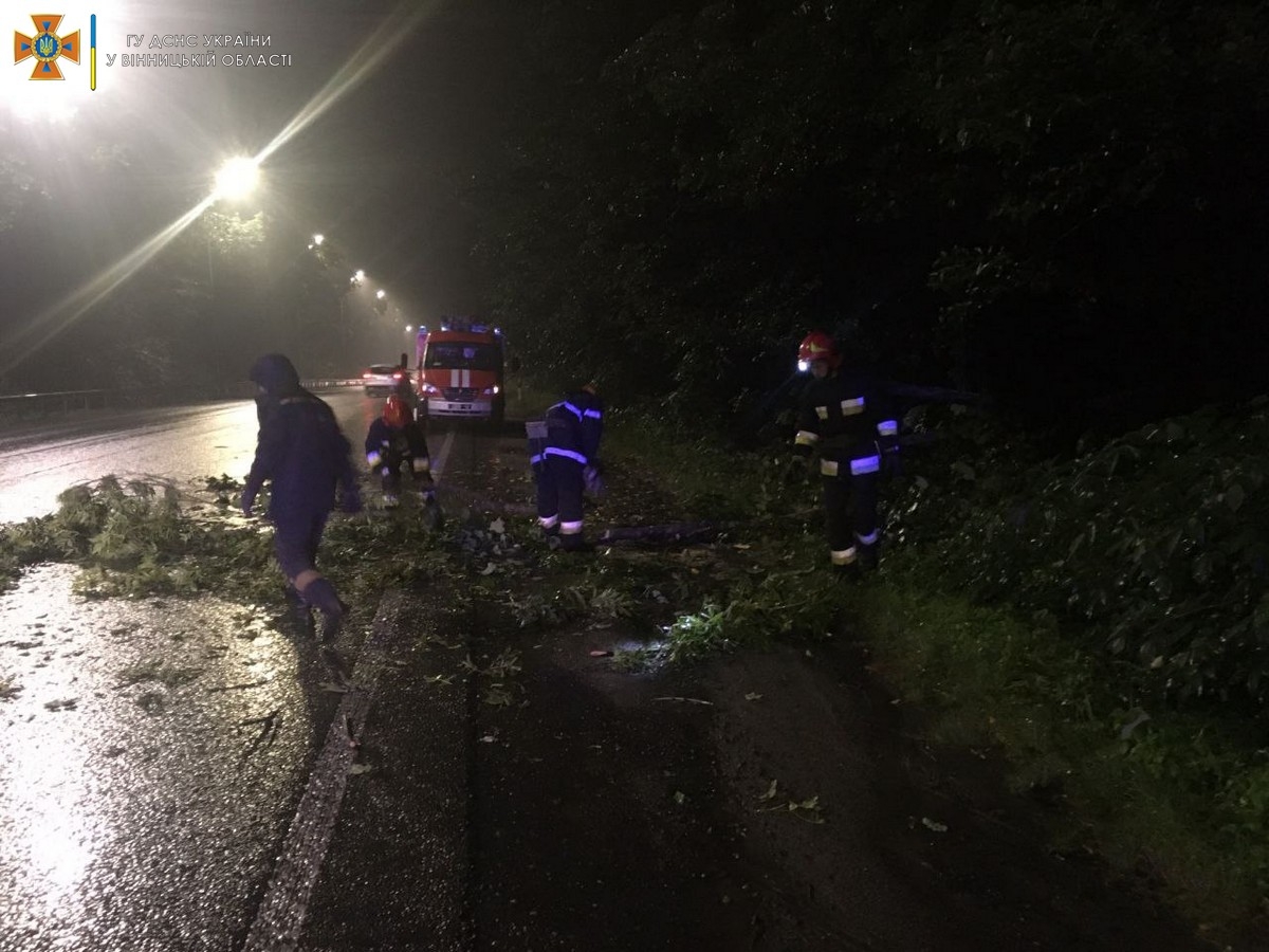 На Львівському шосе у Вінниці через негоду впало дерево