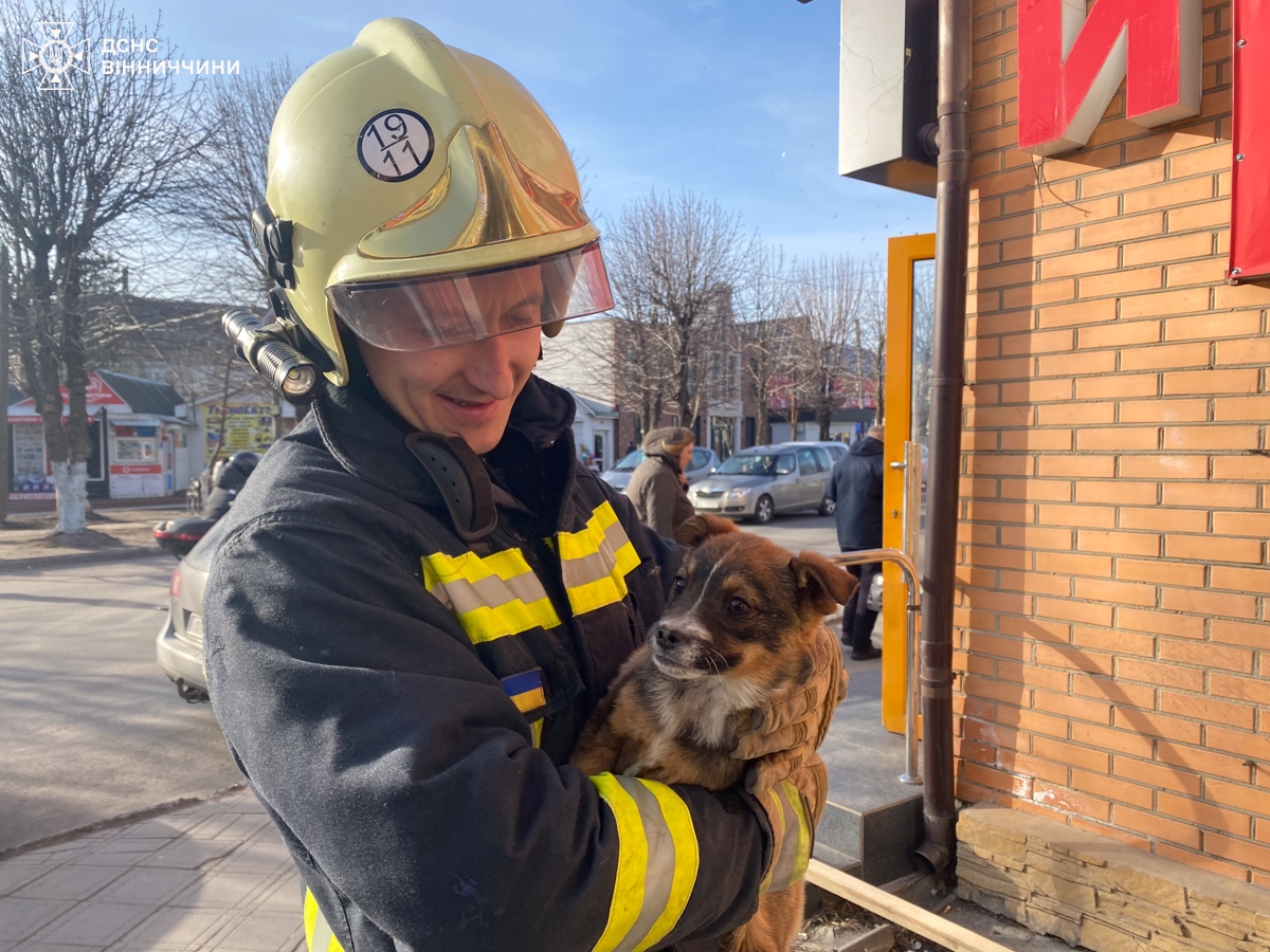 У Калинівці визволили маленьке собаченя, яке застрягло між щілинами забудов