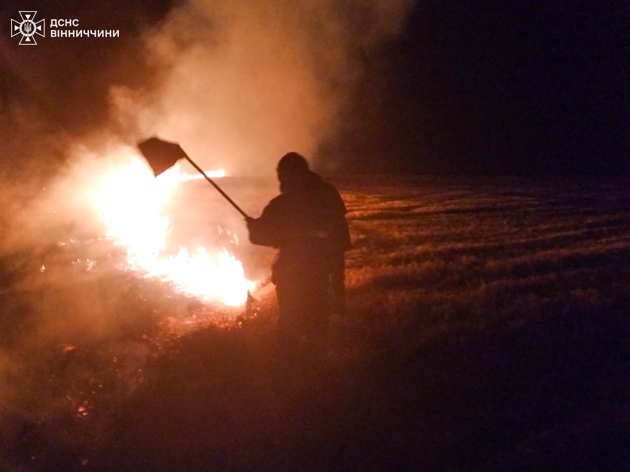 На Вінниччині за одну добу згоріли два легкових автомобілі 