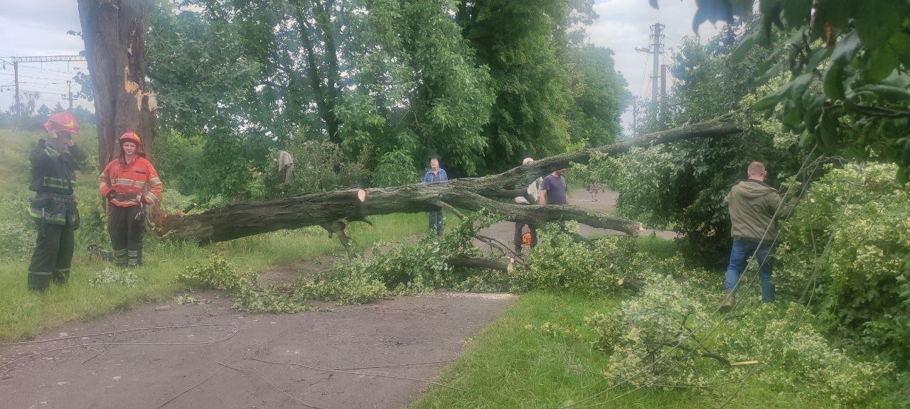 У Вінниці рятувальники прибрали дерево, яке впало на лінію електропередач