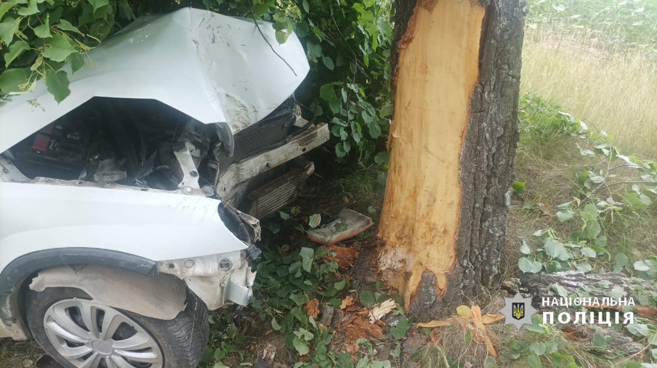 Водій Opel влетів у дерево у Вороновицькій громаді