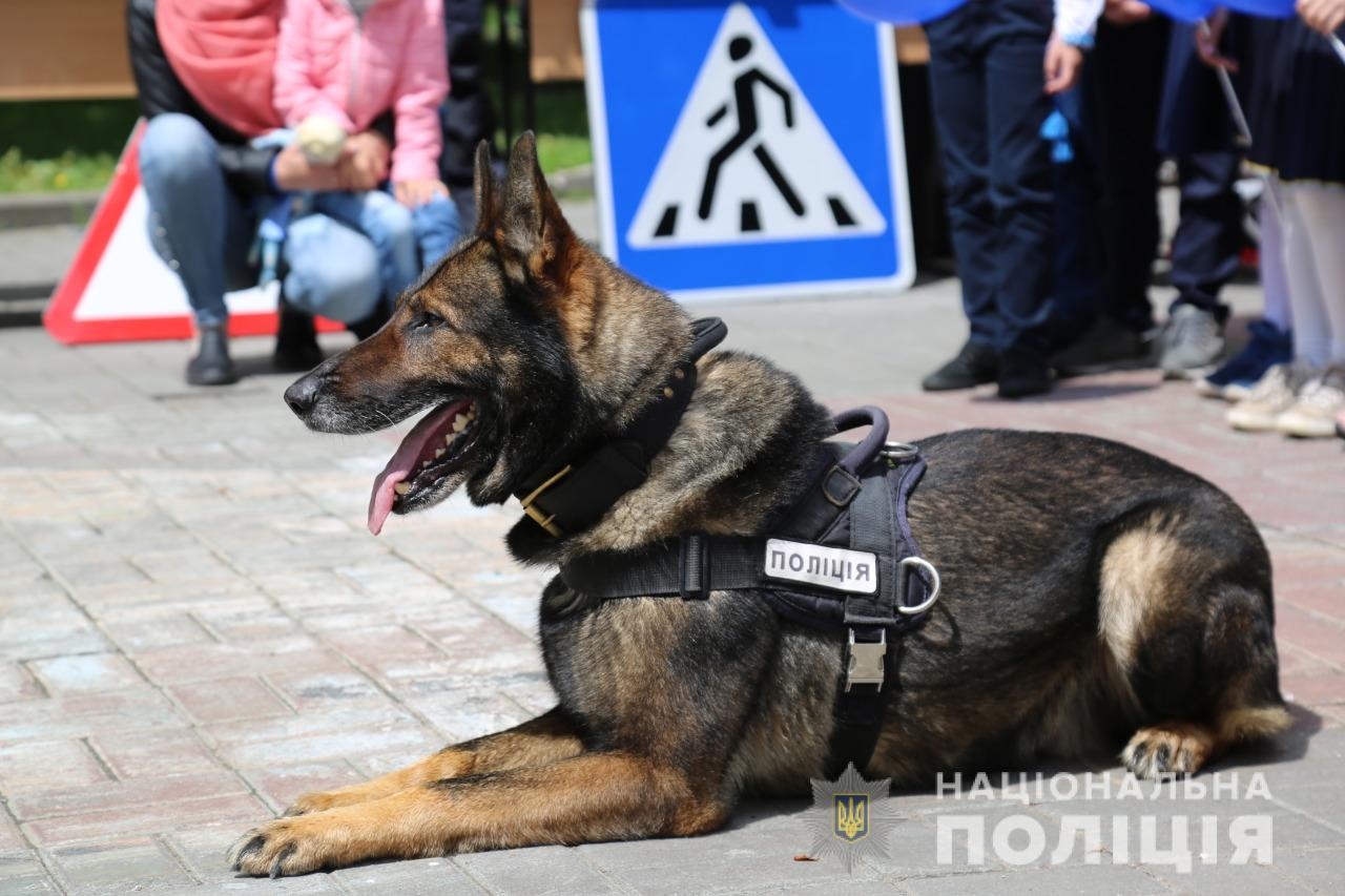 У центрі Вінниці поліцейські облаштували локації, де навчали дітей безпеці на дорозі 