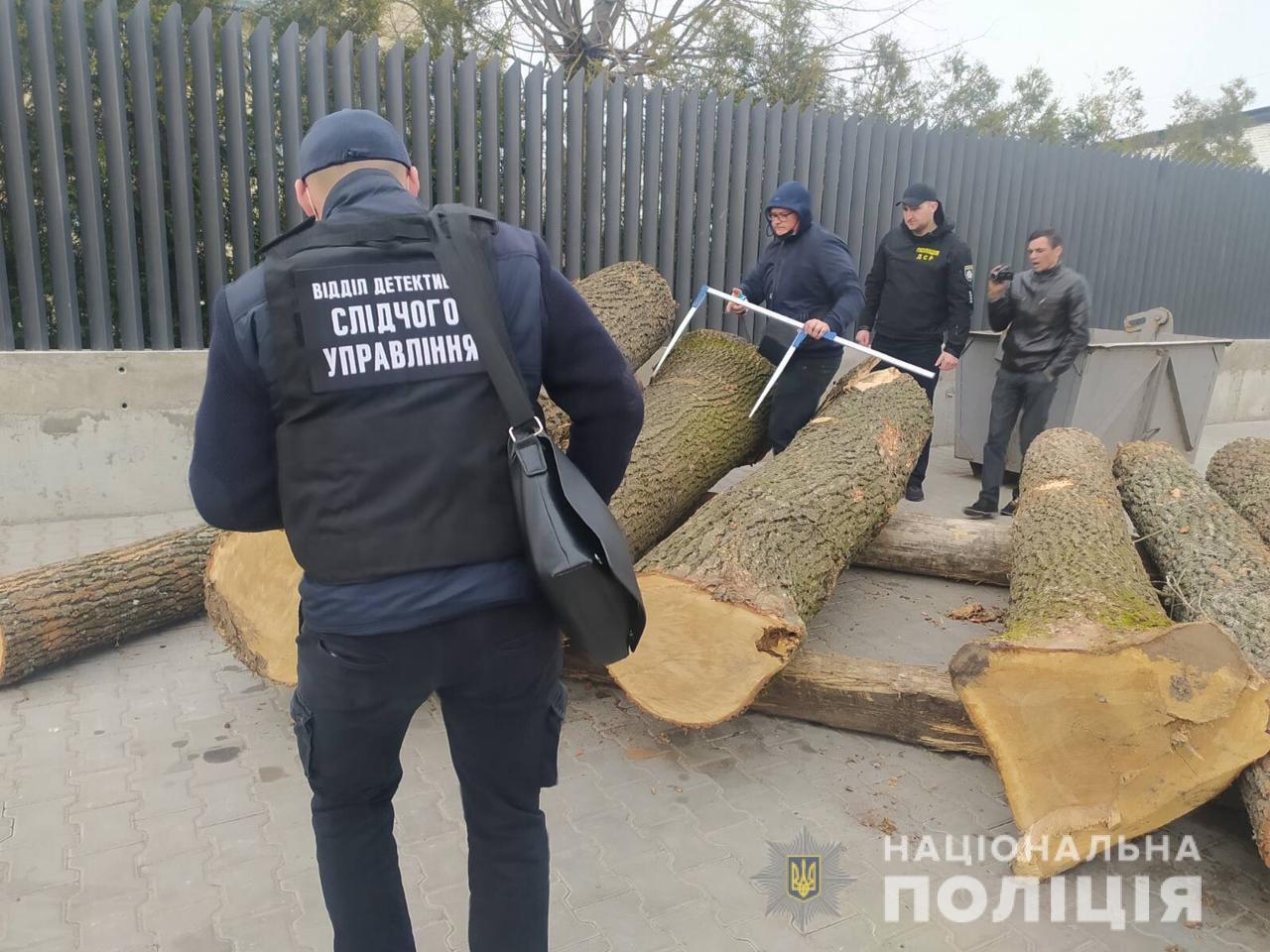 На Вінниччині викрили велику схему розкрадання лісопродукції