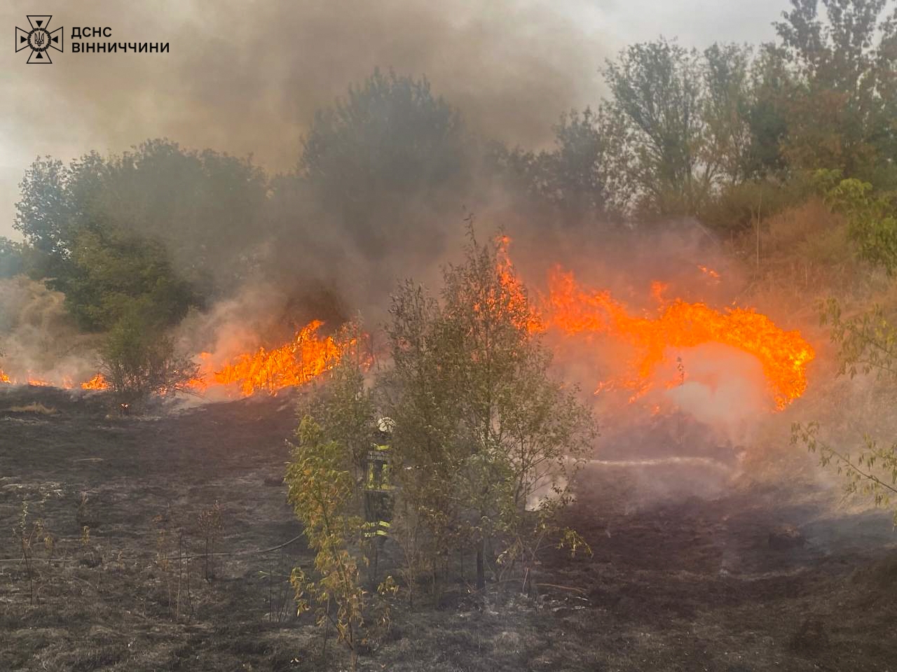 Горіло у всіх районах області та Вінниці — вогонь обпалив понад 23 га ґрунту