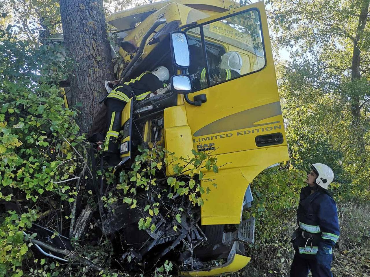 На автошляху Війтівці - Хмільник DAF в'їхав у дерево - водій загинув