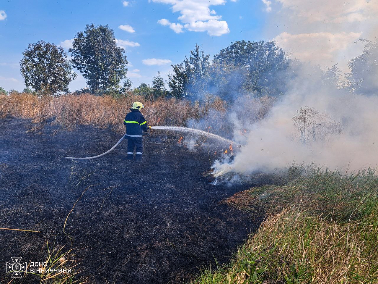 На Вінниччині пожежі спопелили 13 гектарів екосистем