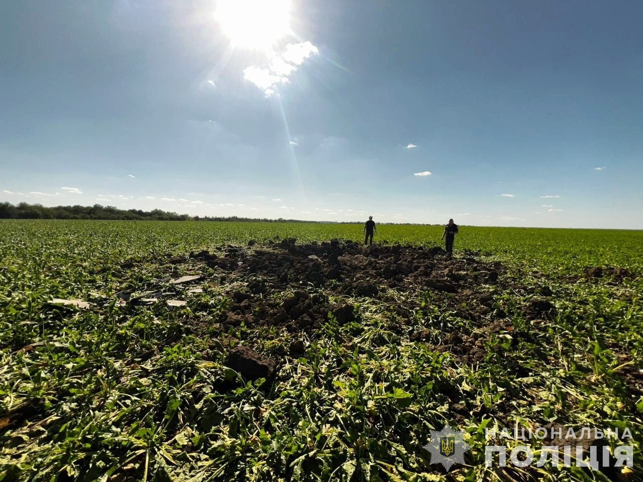 На Вінниччині уламки “шахедів” залишили вирви у соняшникових полях