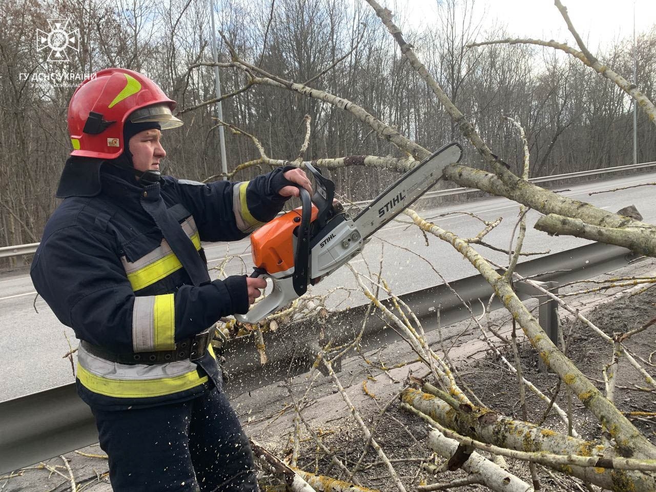 Поблизу Вінниці сильний вітер повалив дерева на дорогу