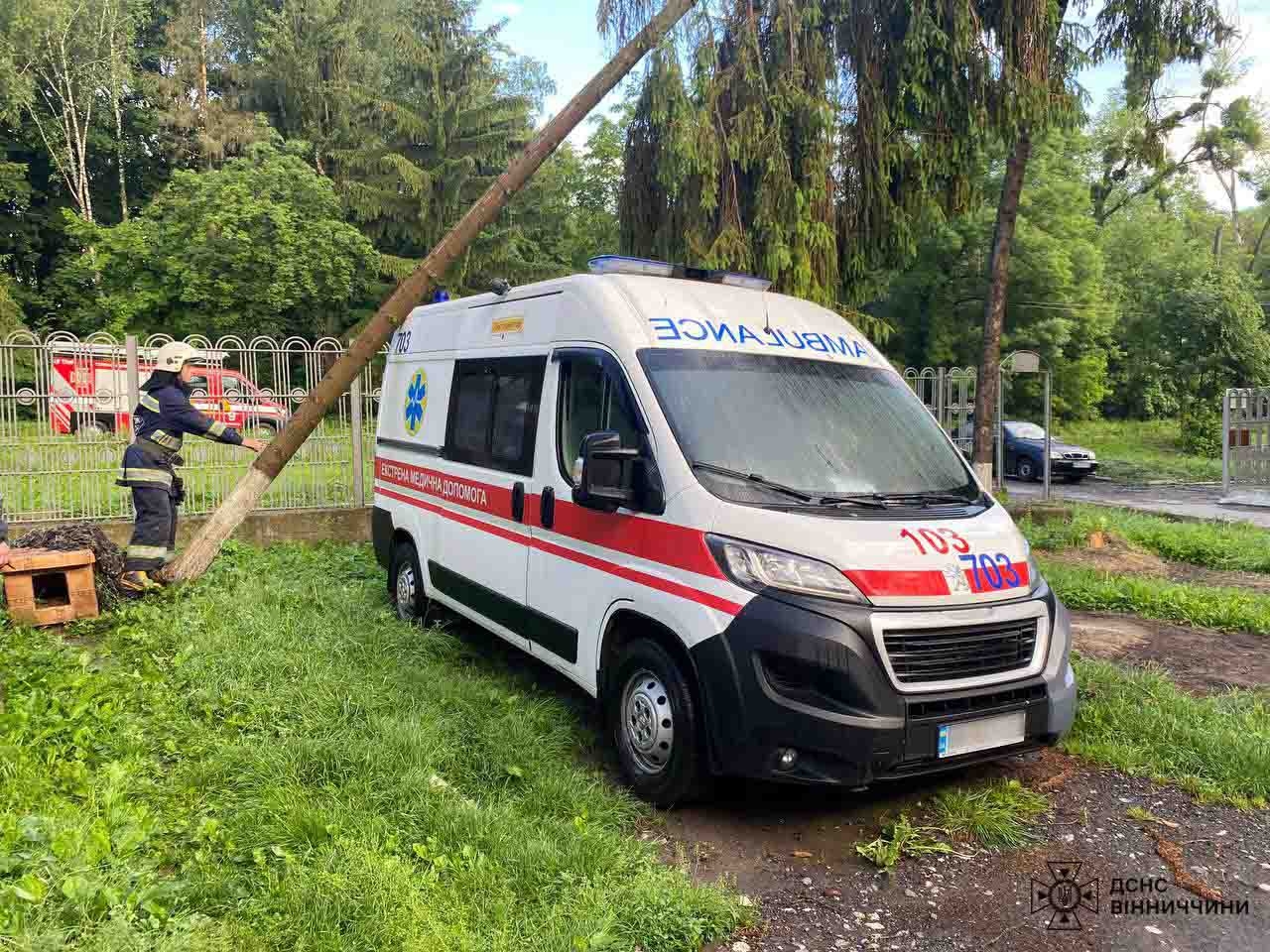 Понад три десятки дерев повалив сильний вітер на Вінниччині