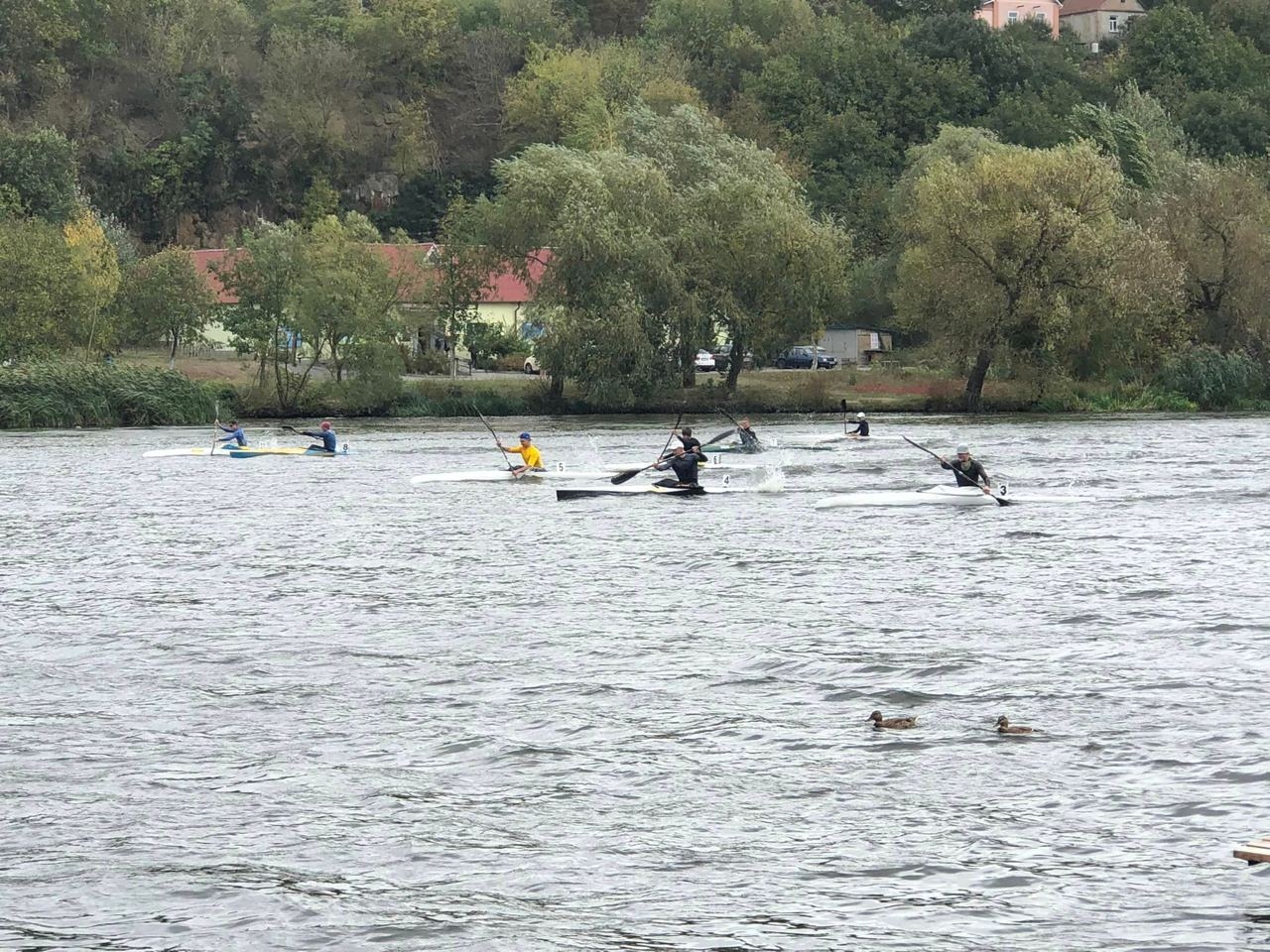 У Вінниці юні веслувальники виборювали «Осінній приз»