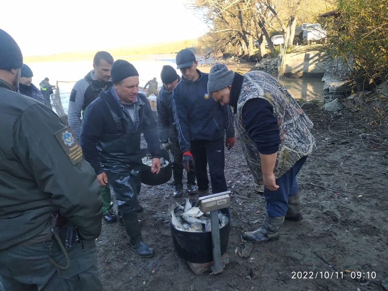 В Ладижинське водосховище випустили вісім тонн товстолоба та білого амура