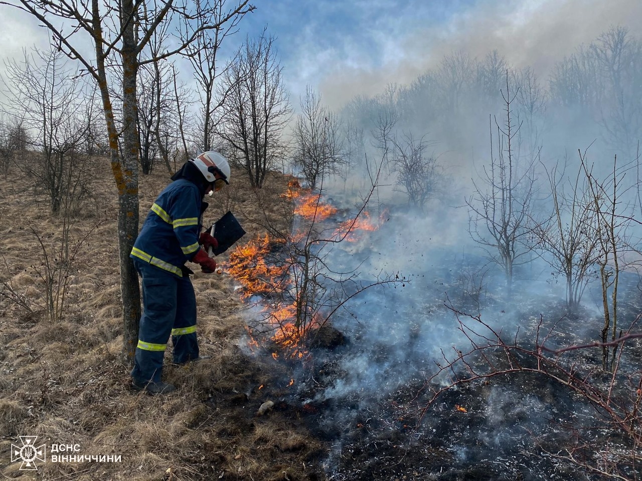 Вінницькі рятувальники ліквідували 83 пожежі в природних екосистемах області