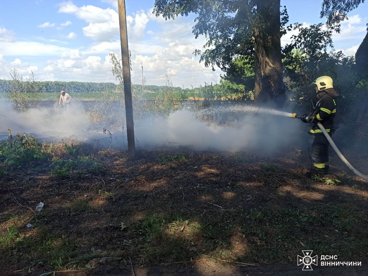 У Вінницькій області ліквідували 12 пожеж у п'яти районах 