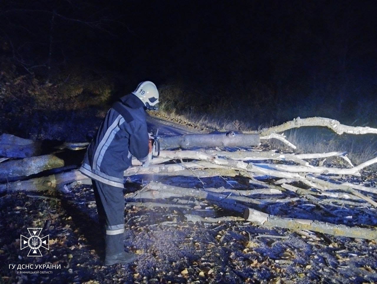 На Вінниччині сильний вітер повалив дерева на дороги та автомобілі