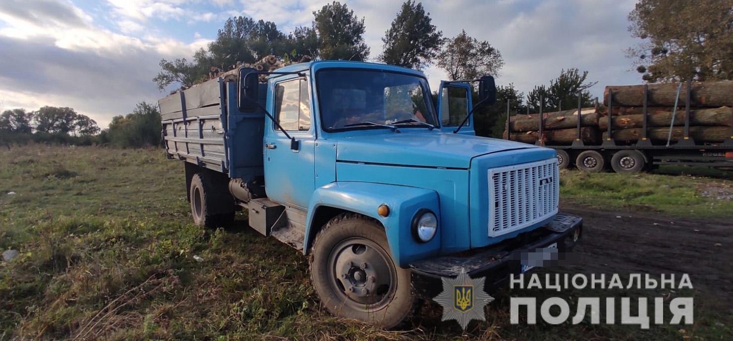 В Тульчинському районі поліцейські припинили незаконну вирубку дерев