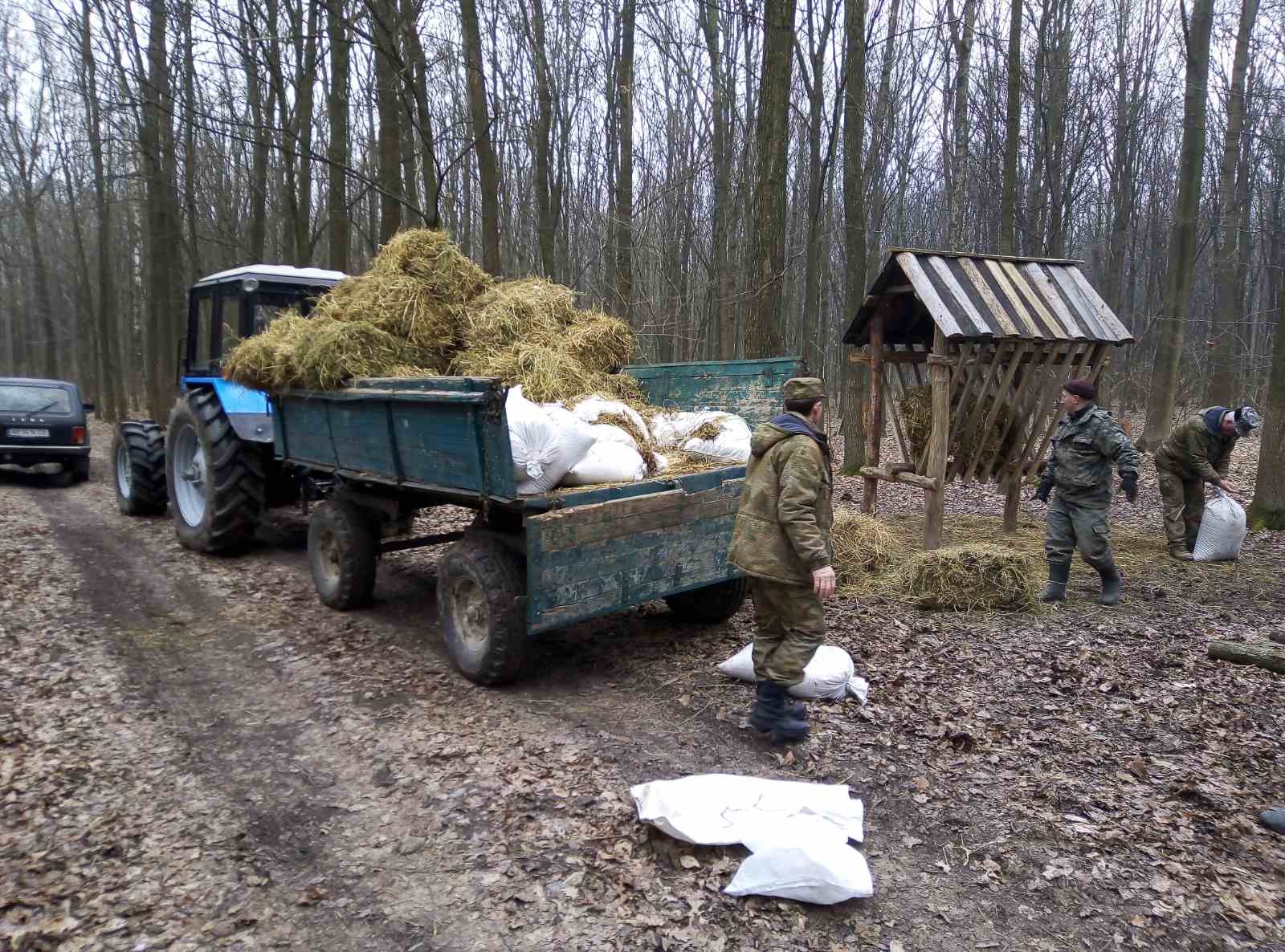 На Вінниччині вже розпочали зимову підгодівлю диких тварин