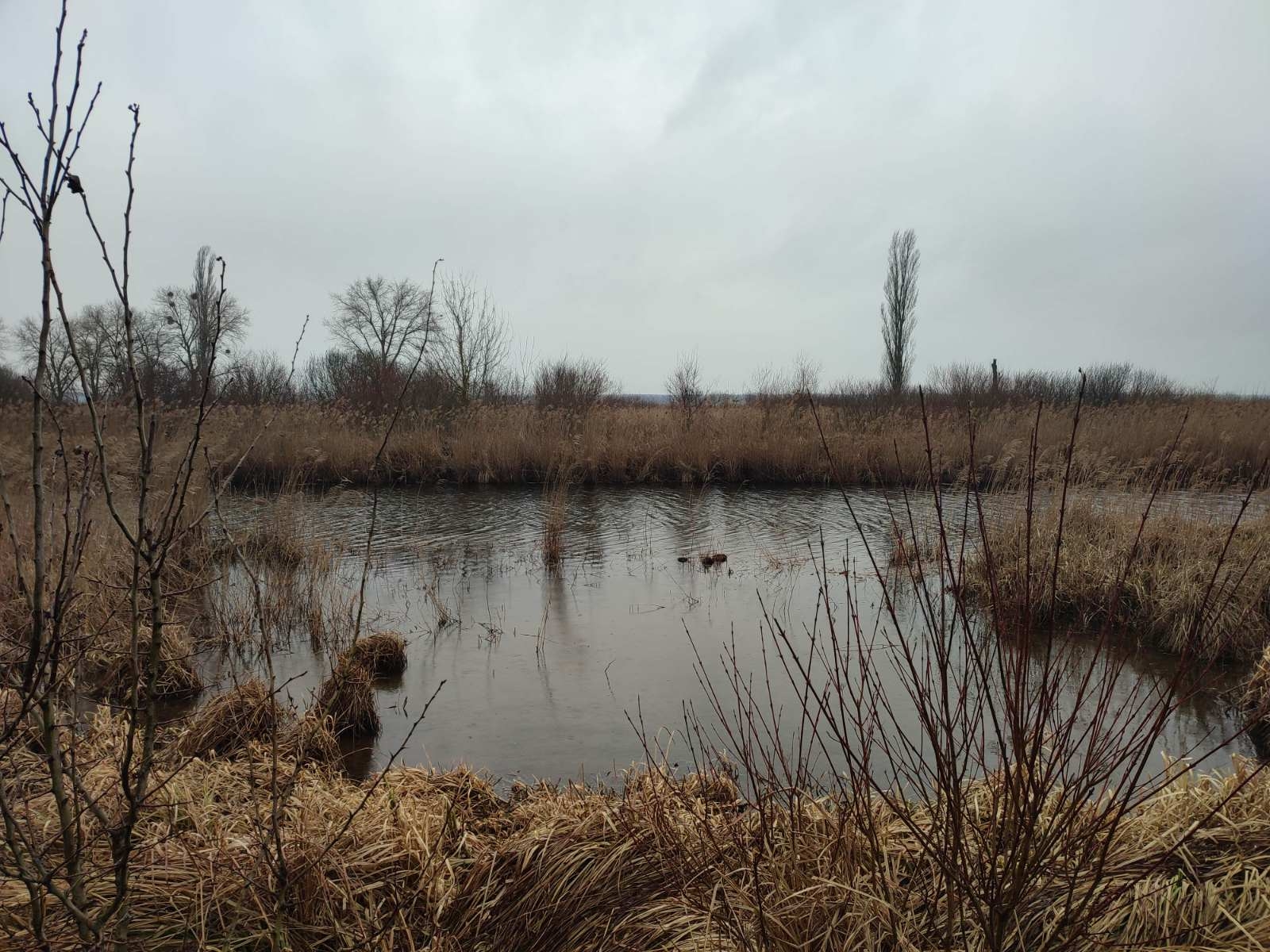 На Вінниччині використовували воду для риборозведення без відповідного дозволу