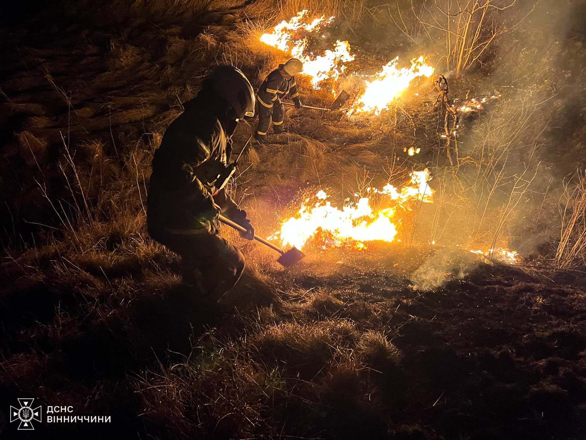 На Вінниччині протягом доби рятувальників викликали на 81 пожежу в екосистемах, вогонь обпалив землю на площі у понад 46 гектарів.