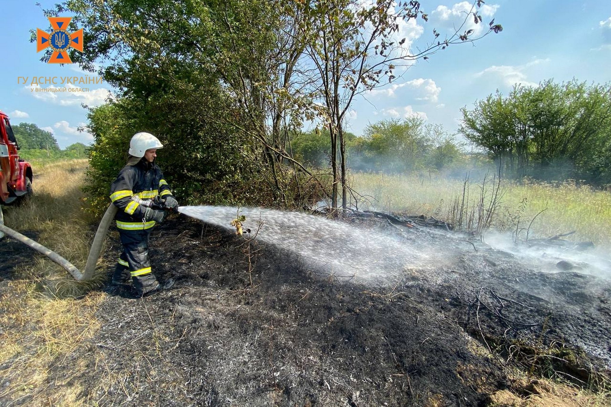 На Вінниччині за два дні сталося 15 пожеж в екосистемах