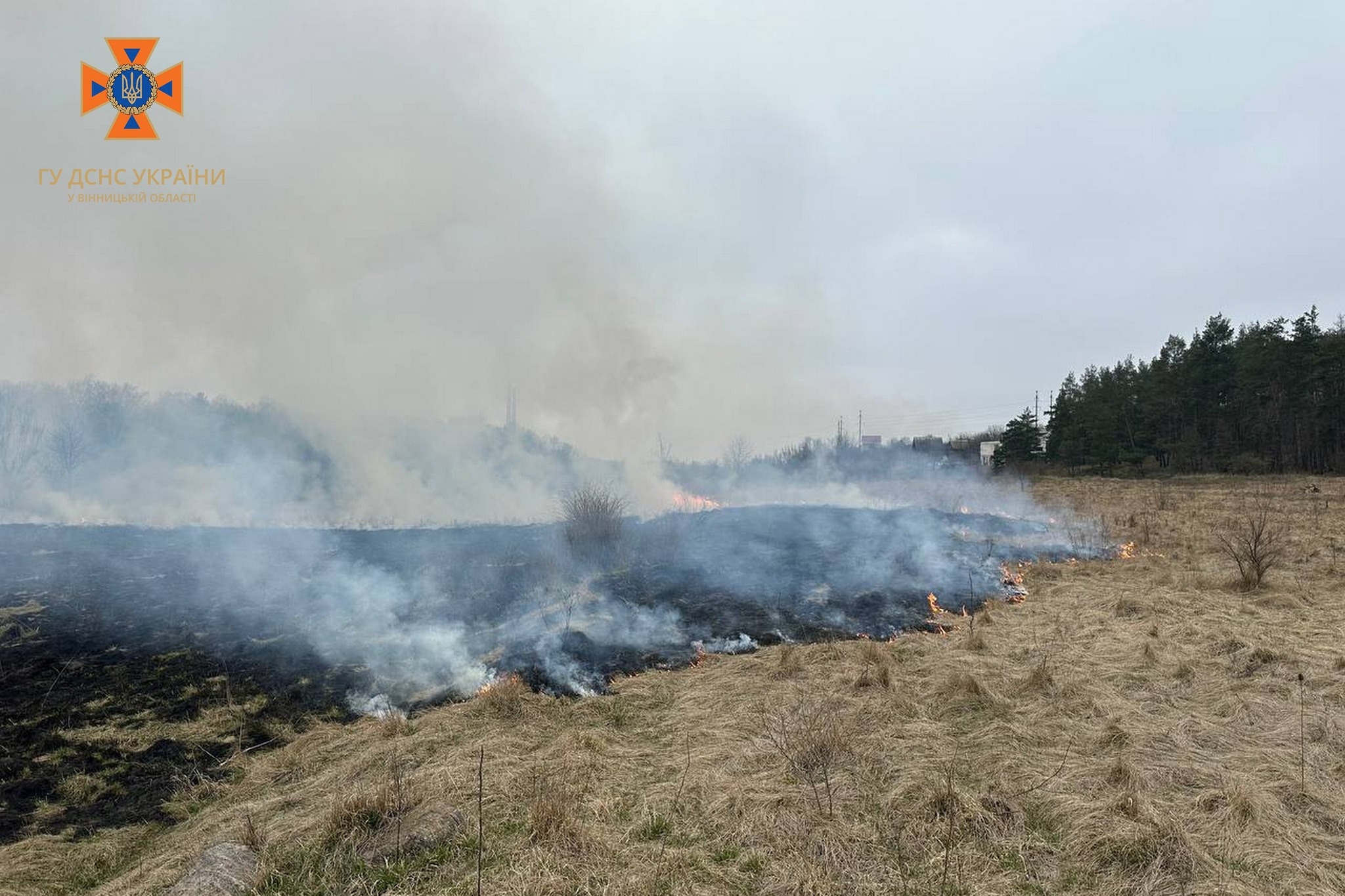 Вінницькі рятувальники ліквідували загорання на площі у два гектари