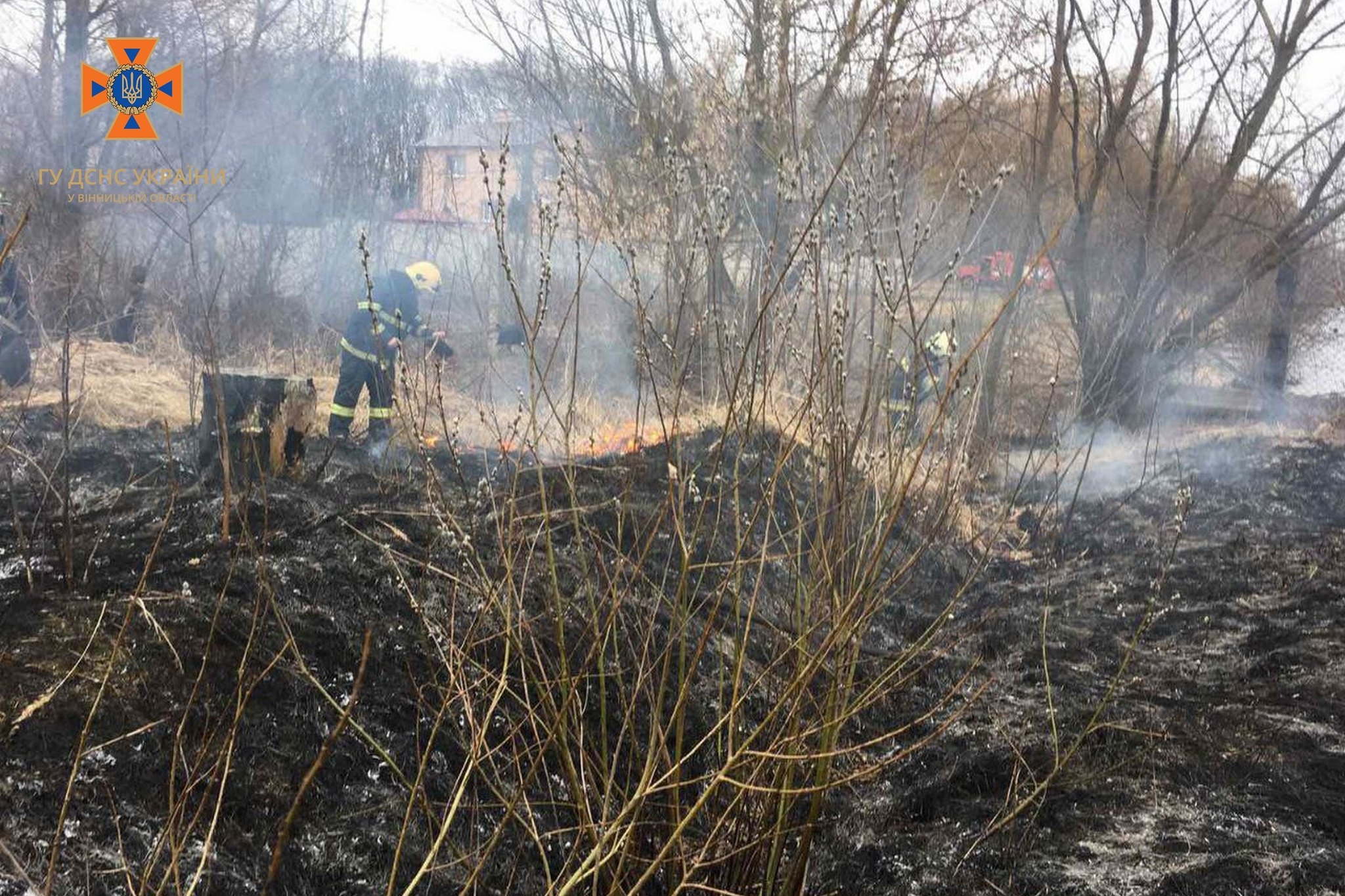 За добу на Вінниччині вогонь знищив понад 9 га сухої рослинності