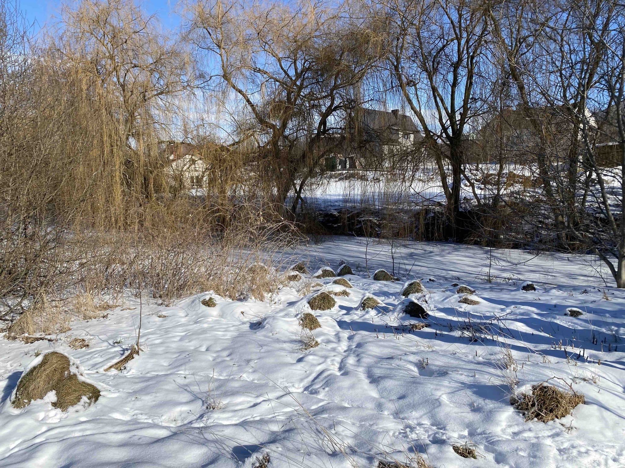 Перші дві ініціативні групи "Чиста водойма" створили у Вінницьких Хуторах