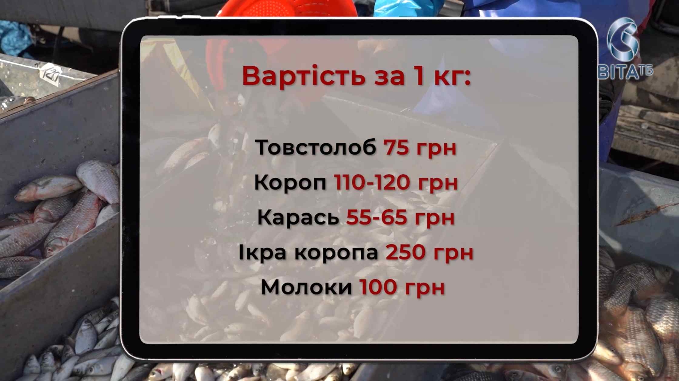 Короп по 120, а ікра по 250 грн/кг: прицінюємось до річкової риби на вінницькому ринку