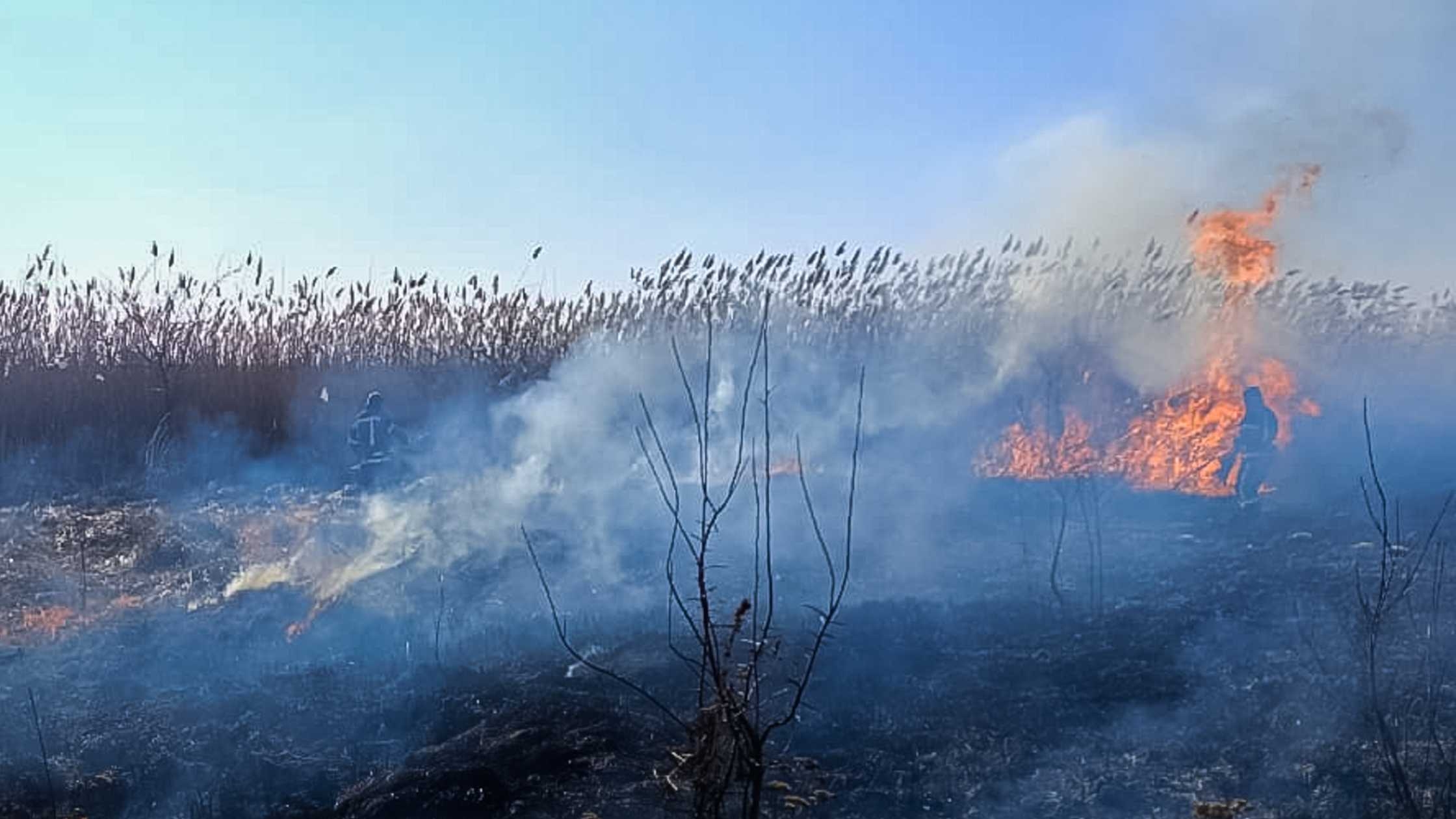 На Вінниччині горять екосистеми – вогонь обпалив понад 6,5 гектарів ґрунту