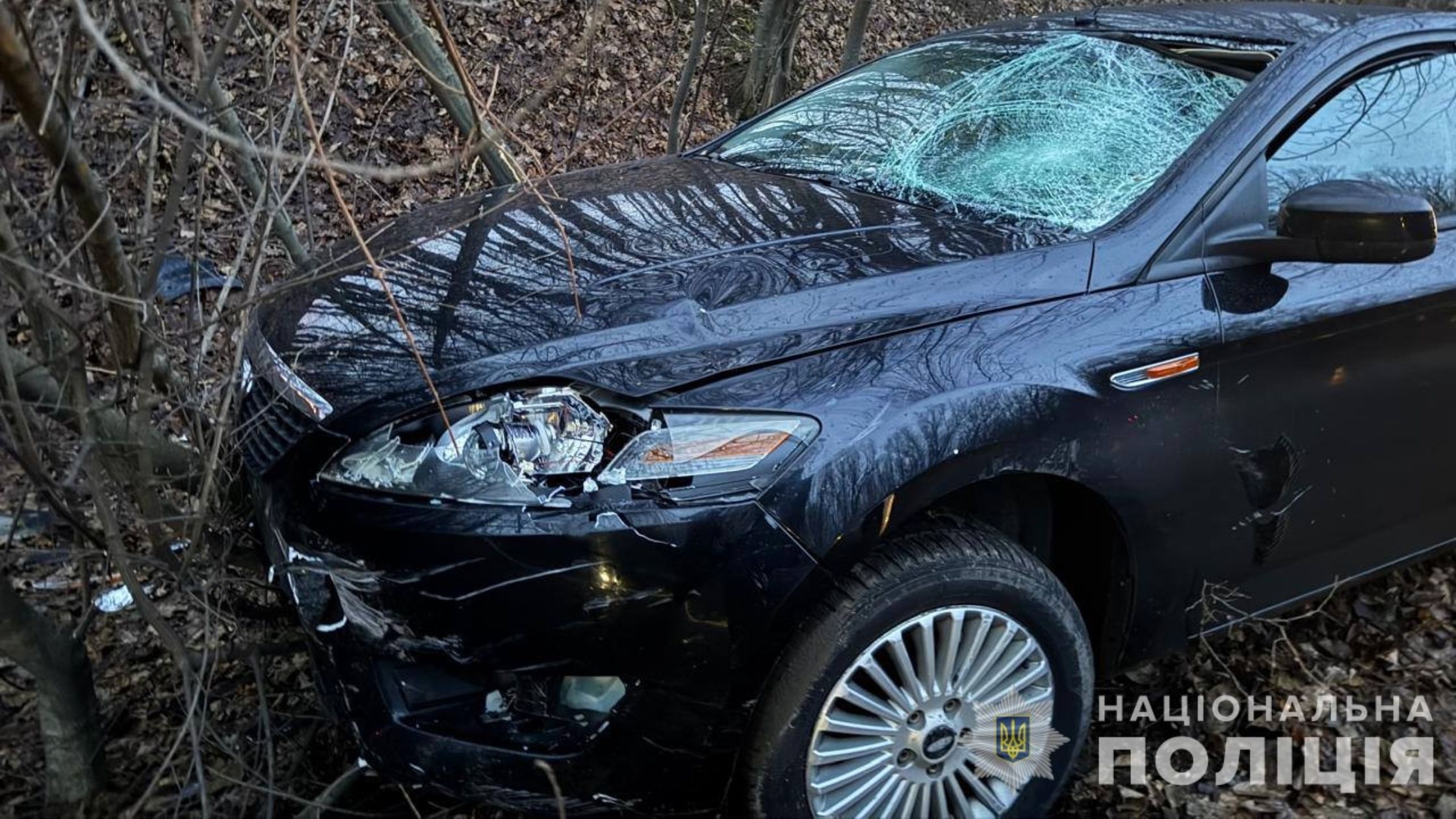 На Вінниччині водій автомобіля Ford на смерть збив велосипедиста