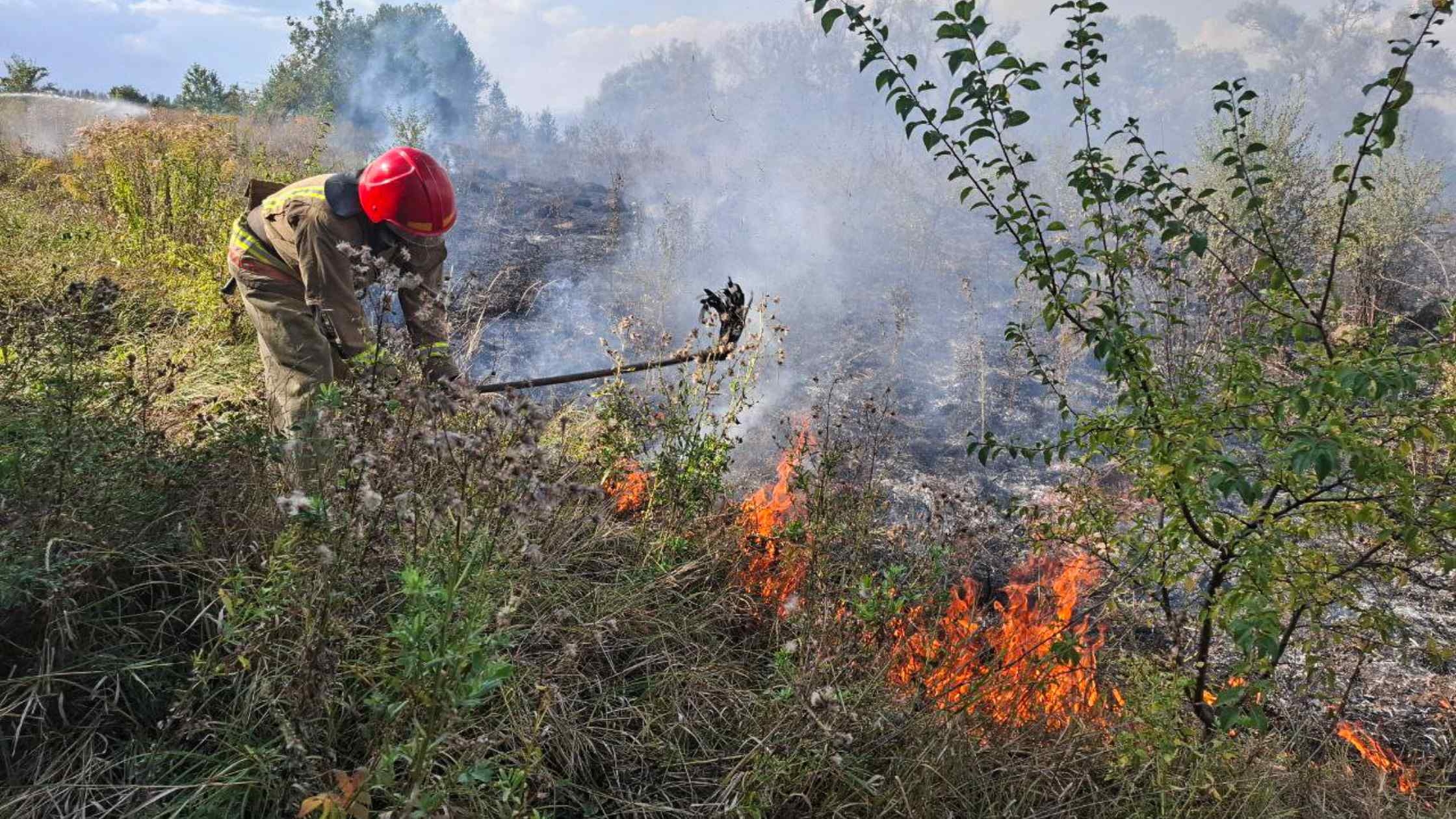 На Вінниччині вигоріли 20 гектарів землі: палали піднавіси з дровами, приватні будинки, вулики