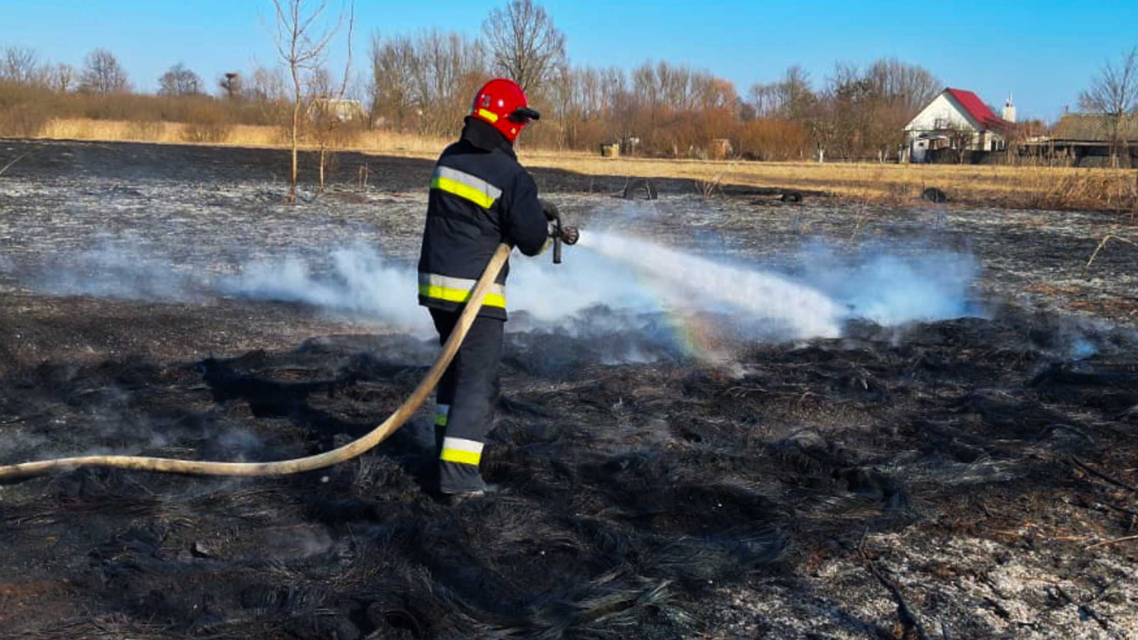 На Вінниччині зафіксували антирекорд з кількості пожеж в екосистемах з початку року