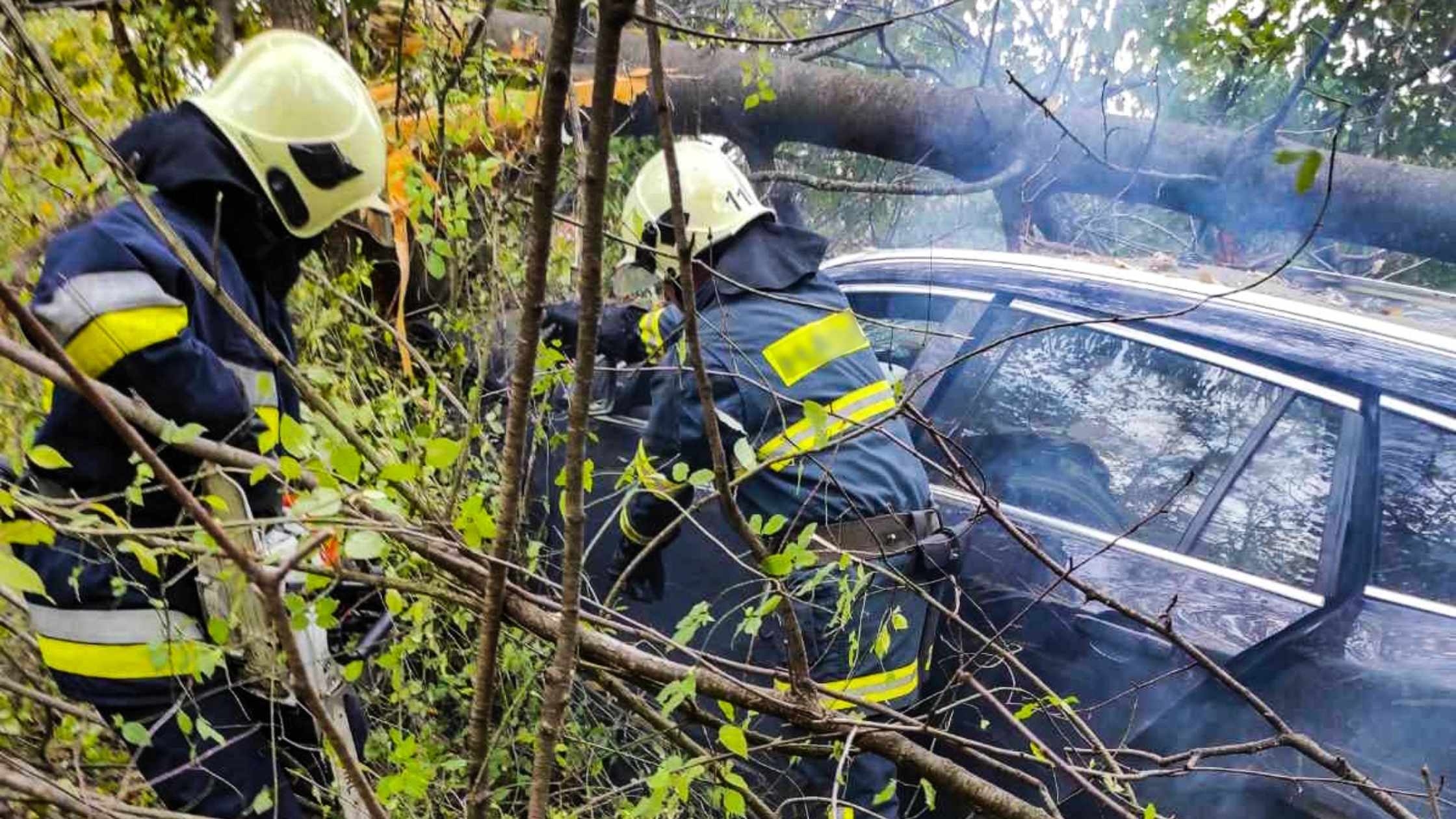 Рятувальники деблокували із розтрощеної автівки 50-річного водія на автошляху Вінниця-Житомир