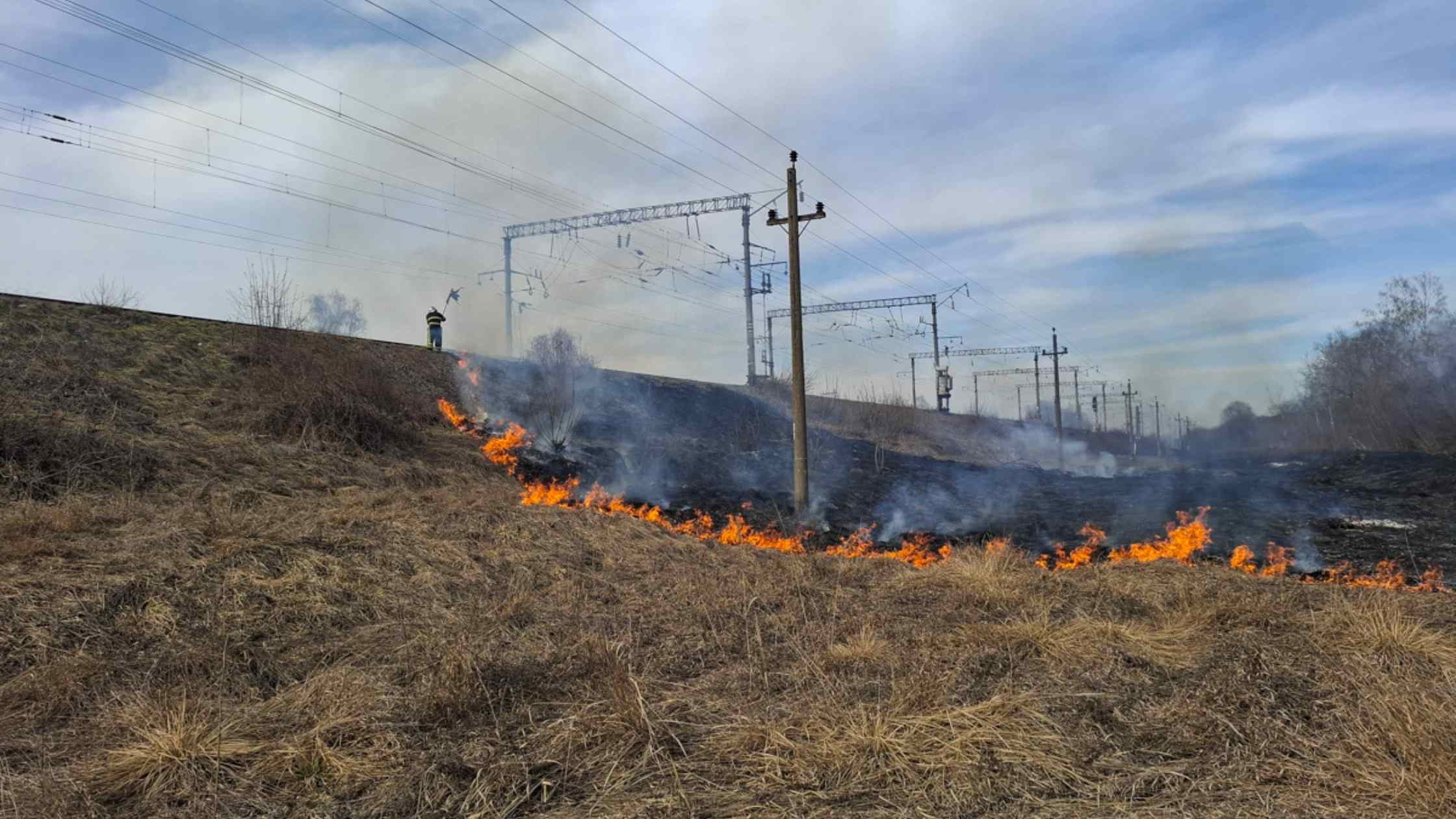 У Вінниці горілі екосистеми на площі у 57 гектарів