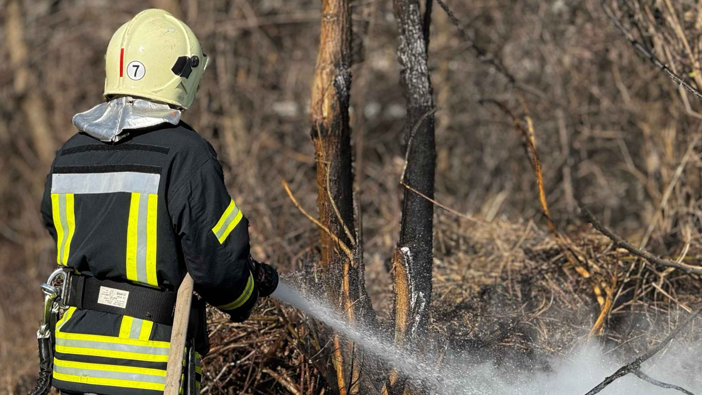 44 пожежі минулої доби ліквідували бійці ДСНС на Вінниччині, 35 з них – в екосистемах. Найбільшу в регіоні кількість пожеж в екосистемах зафіксували у Вінницькому районі. Про це 26 лютого інформує головне управління ДСНС України у Вінницькій області. Вогонь обпалив землю на площі майже 29 гектарів. Аби ліквідувати загоряння на відкритих територіях, окрім рятувальників, також залучали й вогнеборців місцевих пожежних команд з сіл Уланів та Бабчинці, селища Турбів та Дашів, - йдеться у повідомленні. Одна з найбільших пожеж сталася за межами села Верхівка Копайгородської громади Жмеринського району. Вогонь охопив суху траву на площі 2,4 га. В селі Юзвин Якушинецької громади Вінницького району з сухої трави вогонь перекинувся на металевий вагончик, що знаходився на дачній ділянці. А в селі Тараски Уланівської громади Хмільницького району на покрівлю господарчої споруди. Причинами виникнення пожеж у більшості випадків стали необережне поводження з вогнем.